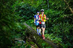 BIB: 
                            <button type="button" onclick="openModal(18922619)" class="btn btn-primary btn-sm float-right btn-popup" data-toggle="modal" data-target=".modal-high-quality">
                        <i class="fas fa-shopping-cart"></i> Add to Cart
                    </button>
                                            <button type="button" onclick="isThisMe(18922619, true)" class="btn btn-success btn-sm float-right btn-popup btn-isme hidden" data-toggle="tooltip" data-placement="bottom" title="นี่คือรูปของคุณใช่ไหม คลิกที่นี่เพื่อเอาเข้าอัลบั้ม">
                        <i class="fas fa-plus"></i> Add to album
                    </button>
                    <button type="button" onclick="isThisMe(18922619, false)" class="btn btn-warning btn-sm float-right btn-popup btn-isnotme hidden">
                        <i class="fas fa-ban"></i> Remove from album
                    </button>